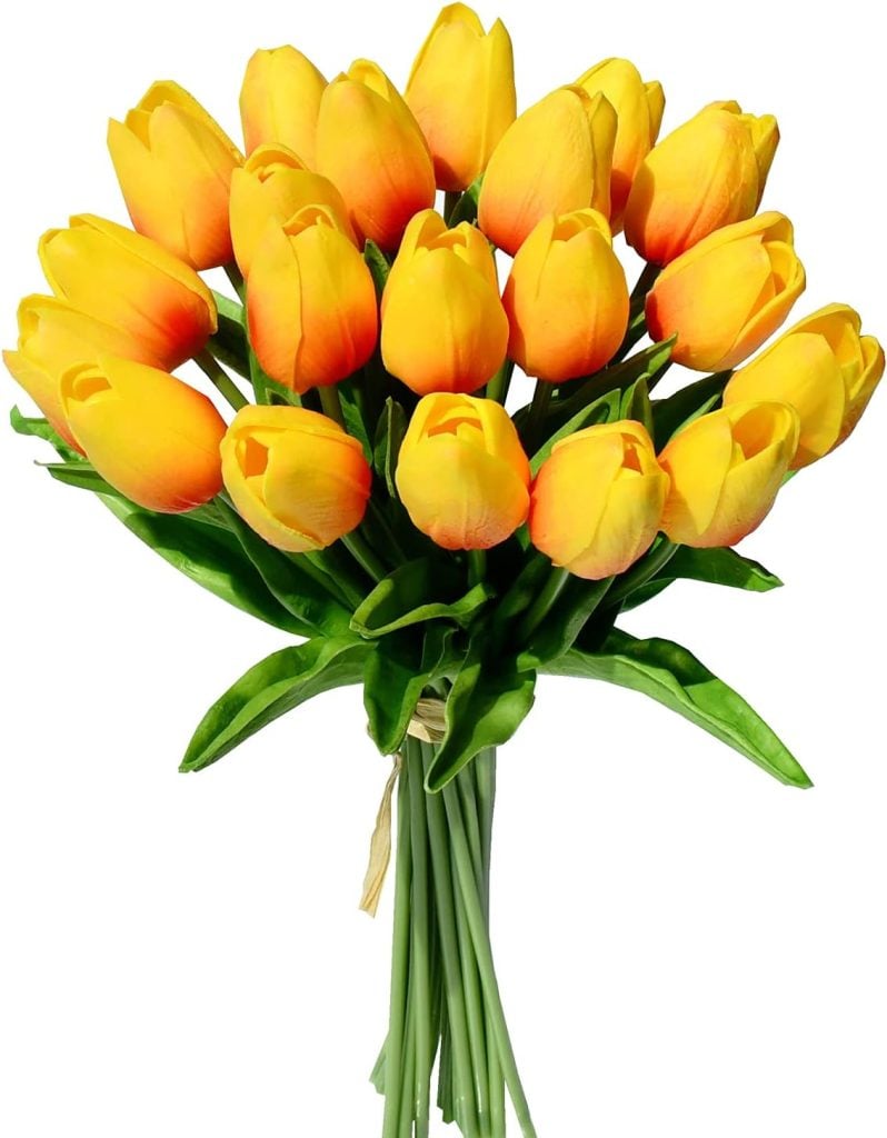 Bouquet of fresh yellow tulips for spring floral arrangements.