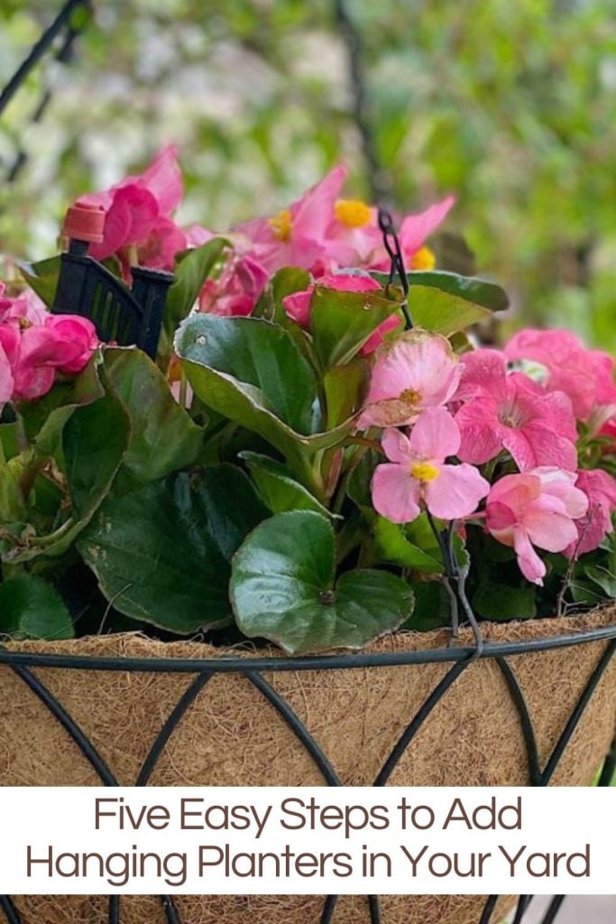 Hanging basket with pink flowers: a guide to enhancing your garden.