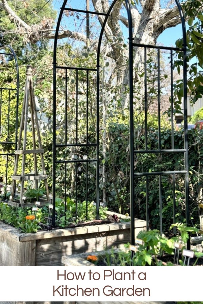 My new kitchen garden in four raised beds with metal arch trellises and over 250 plants.