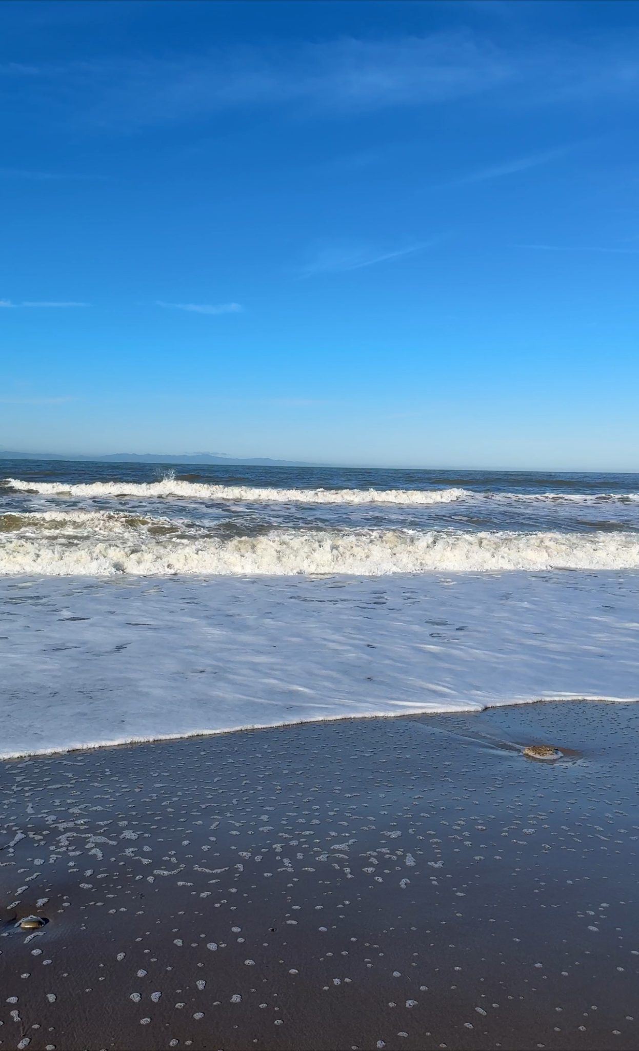 A tranquil Ventura beach scene with gentle waves and a clear blue sky.