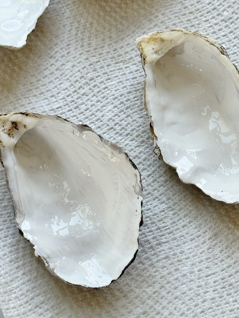 Three empty oyster shells painted with white paint on a textured surface.