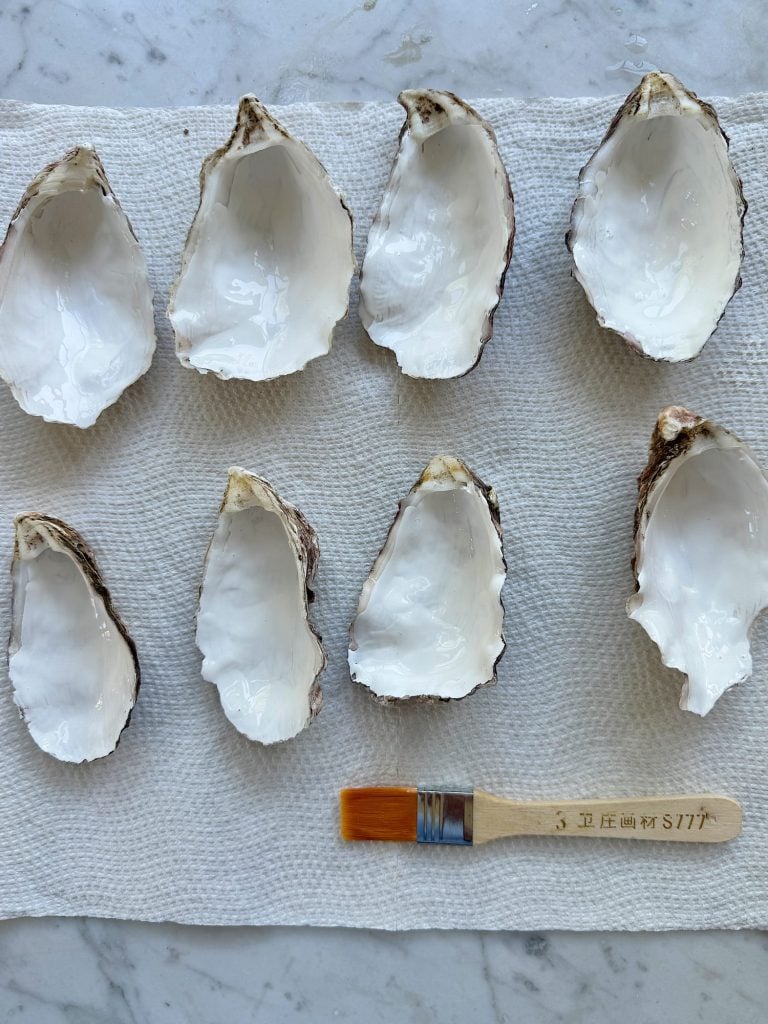 Empty oyster shells arranged on a towel beside a paintbrush.