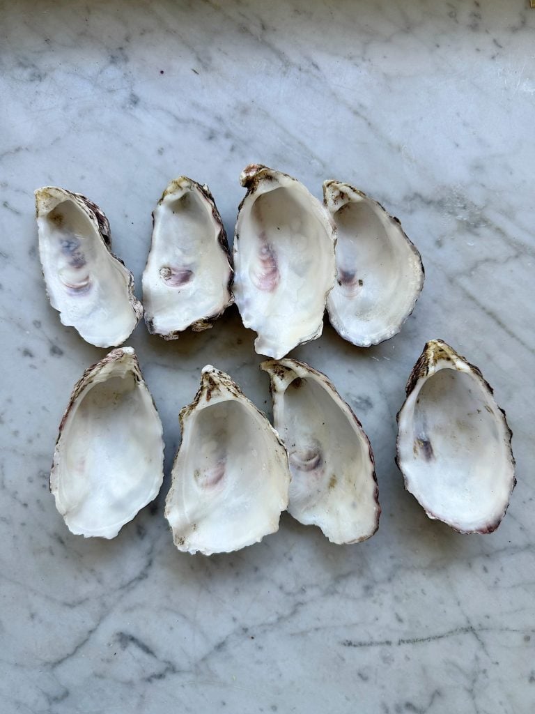Eight empty oyster shells arranged on a marble surface.