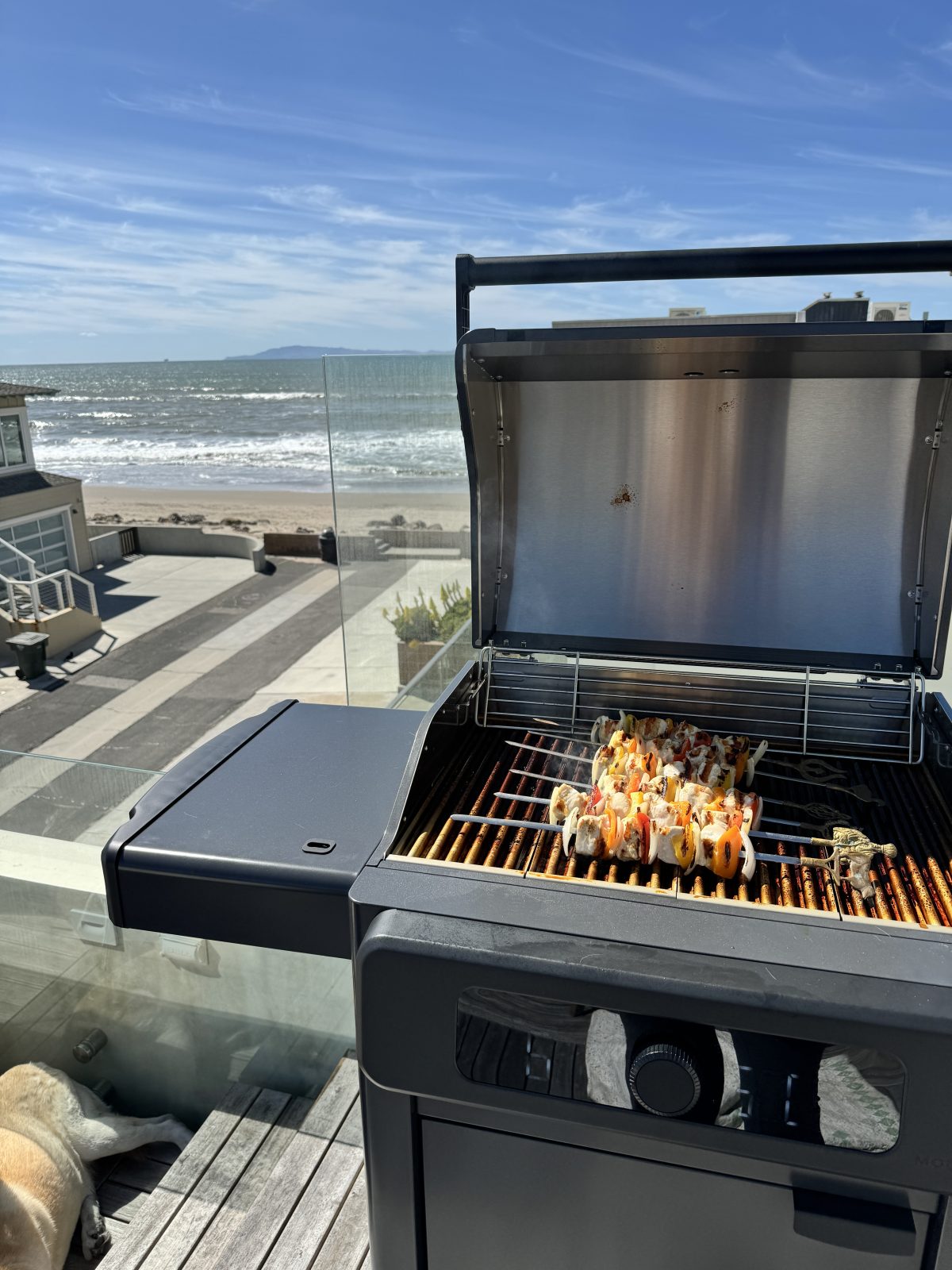 How to cook foods on an electric grill