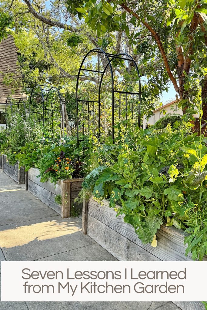 Raised garden beds with a variety of plants under arched trellises next to a sidewalk, with text overlay "seven lessons i learned from my kitchen garden.
