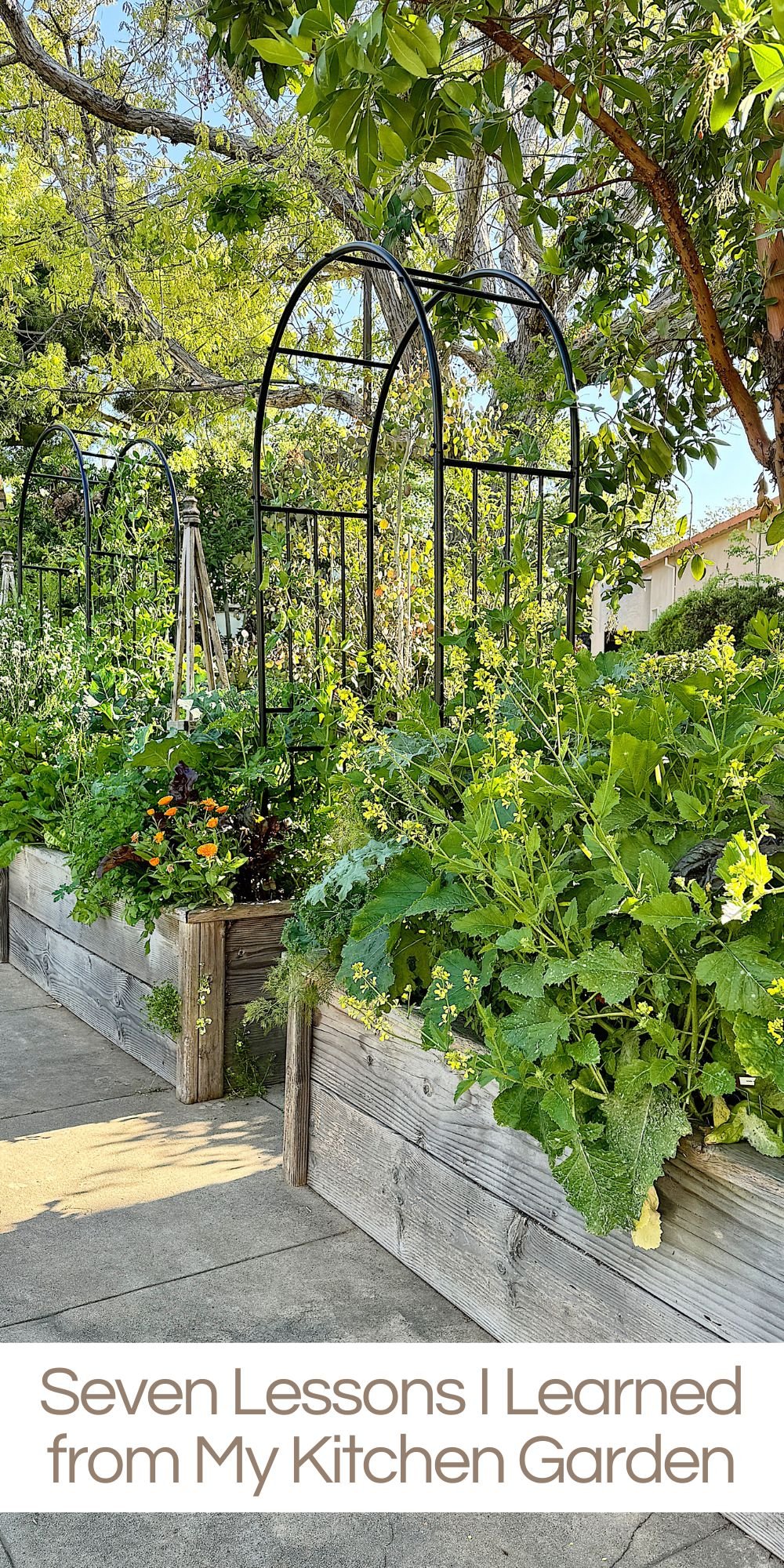 Two months ago, I embarked on a journey to plant a kitchen garden by taking an online class with Nicole at Gardenary and I have learned so much!