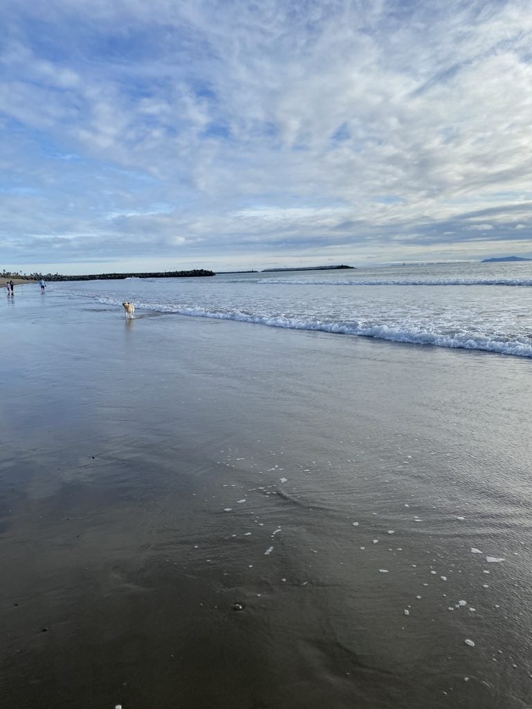 A sandy beach with calm waves and a cloudy sky. Several people and a dog are seen in the distance along the shoreline.