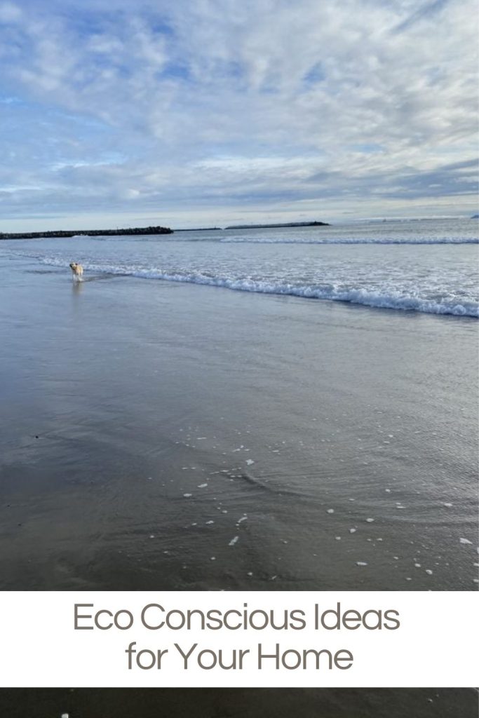 A dog walks along a sandy beach with gentle waves under a cloudy sky. Text at the bottom reads "Eco Conscious Ideas for Your Home.