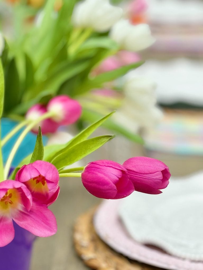 Close-up of pink tulips with a blurred background of white tulips and a colorful setting.
