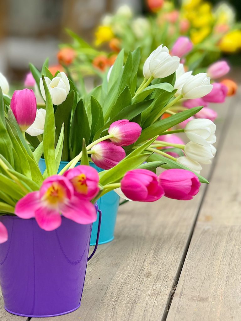 Colorful tulips in purple and blue buckets on a wooden surface, with more flowers blurred in the background.
