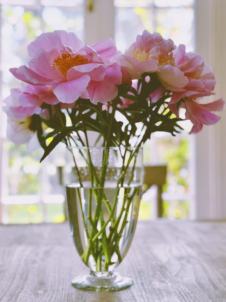 A clear glass vase holds pink peonies with green stems on a wooden table. Sunlight filters through a window in the background.