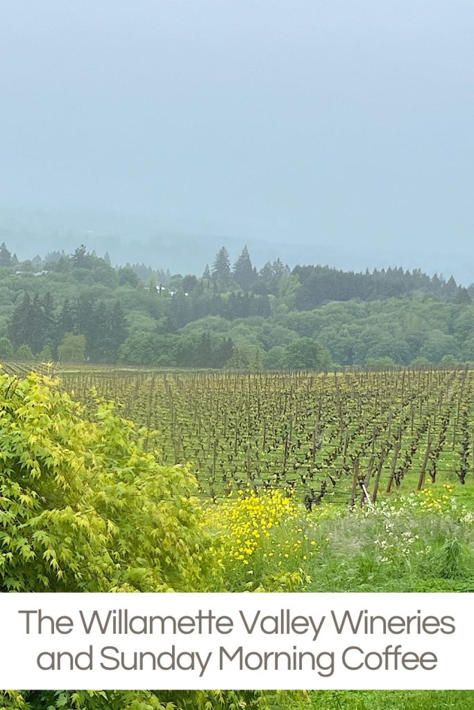 A misty view of vineyards in willamette valley with lush greenery and trees in the background, overlaid with text "the willamette valley wineries and sunday morning coffee.