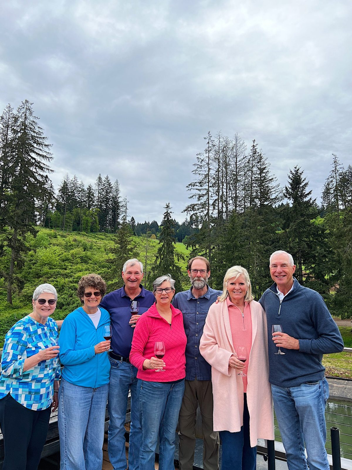 Seven adults smiling on a deck with wine glasses, with a forest and cloudy sky in the background.