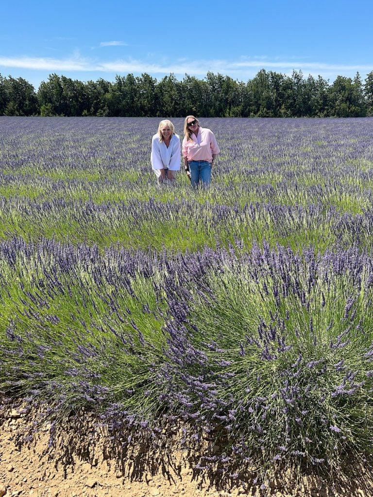 Two people are standing in a field of blooming lavender under a clear blue sky. Trees line the horizon in the background.