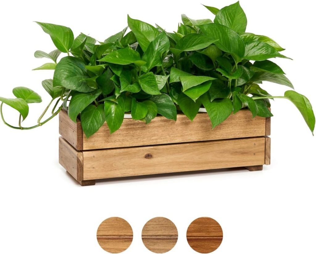 A wooden rectangular planter box holds a healthy green pothos plant, perfect for pairing with paper clay crafts. Three wood stain color samples are shown below the planter.
