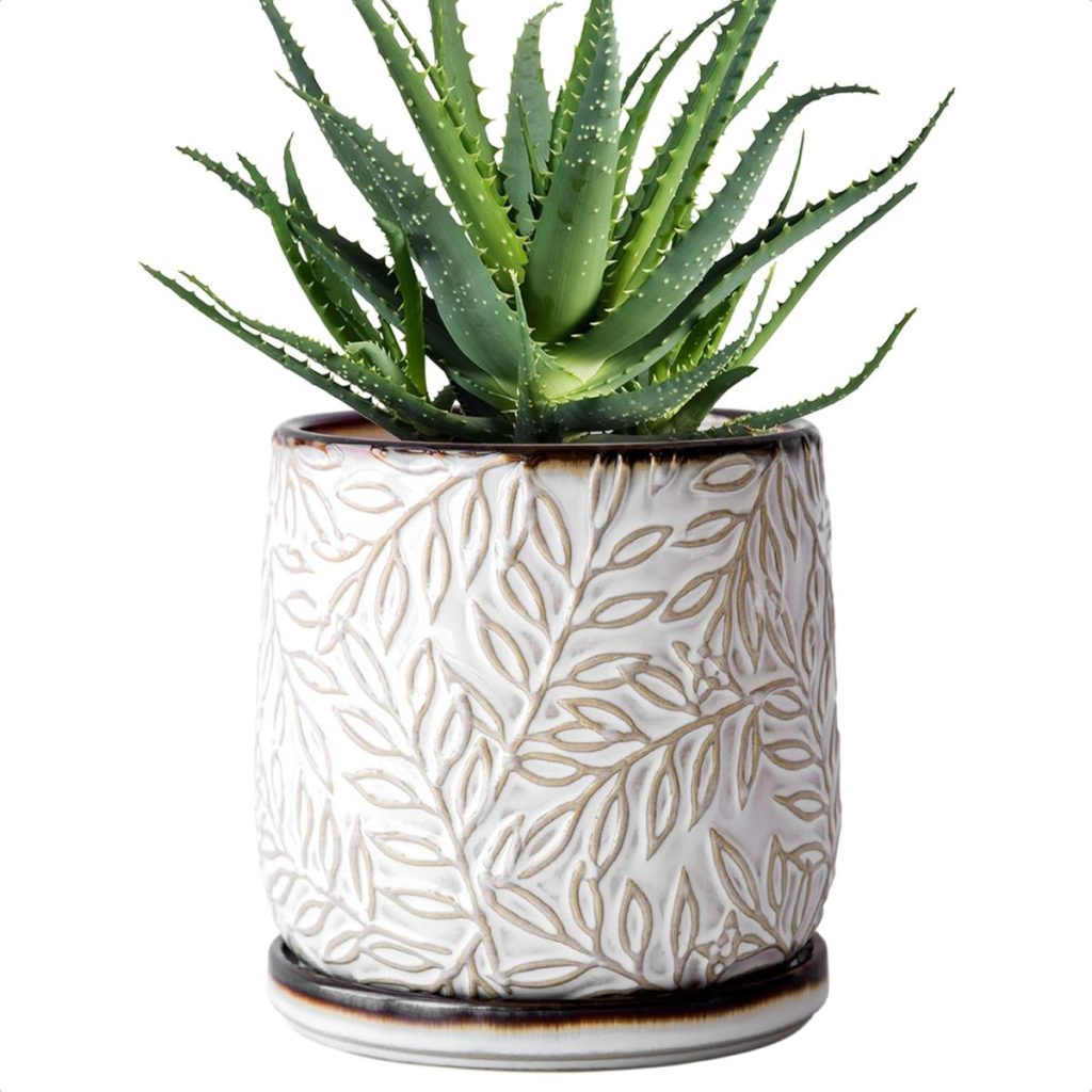 A green aloe vera plant in a decorative white ceramic pot with a raised leaf pattern, crafted to resemble paper clay, sits against a white background.