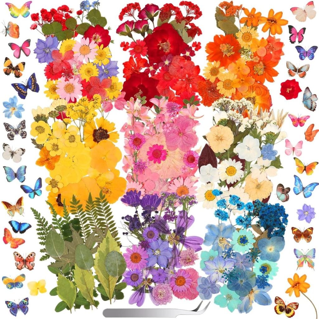 Assorted pressed flowers and green leaves arranged by color, surrounded by colorful butterfly illustrations on a white background.