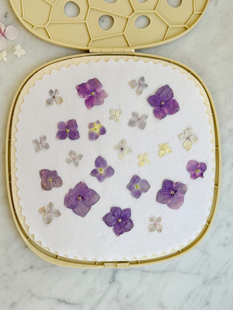 A round, open case with a flat surface displaying various small, pressed purple and white flowers arranged neatly on a white background. The case interior is beige in color.