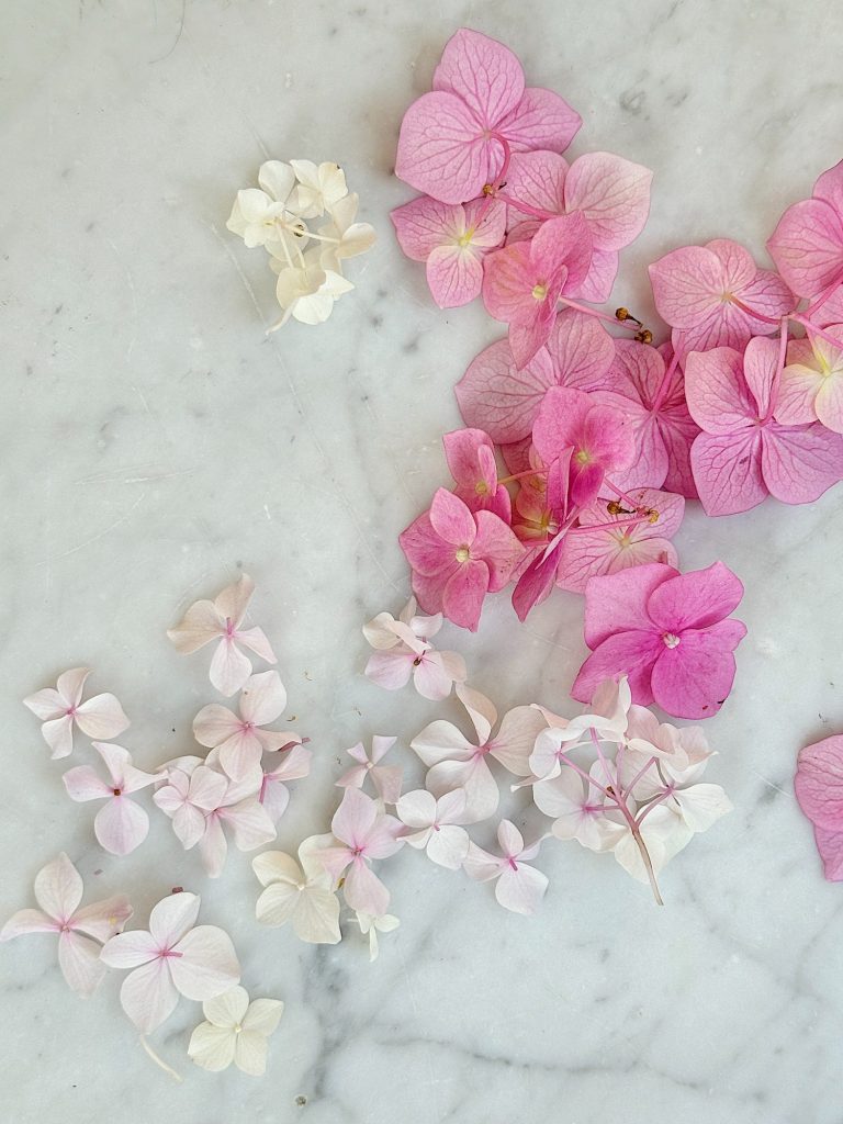 A marble surface with an arrangement of pink and white hydrangea flowers scattered.