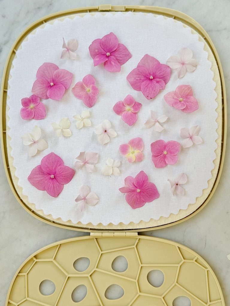 A collection of pressed pink and white flowers arranged on a white fabric inside an open cylindrical case with a brown hexagonal-patterned lid.