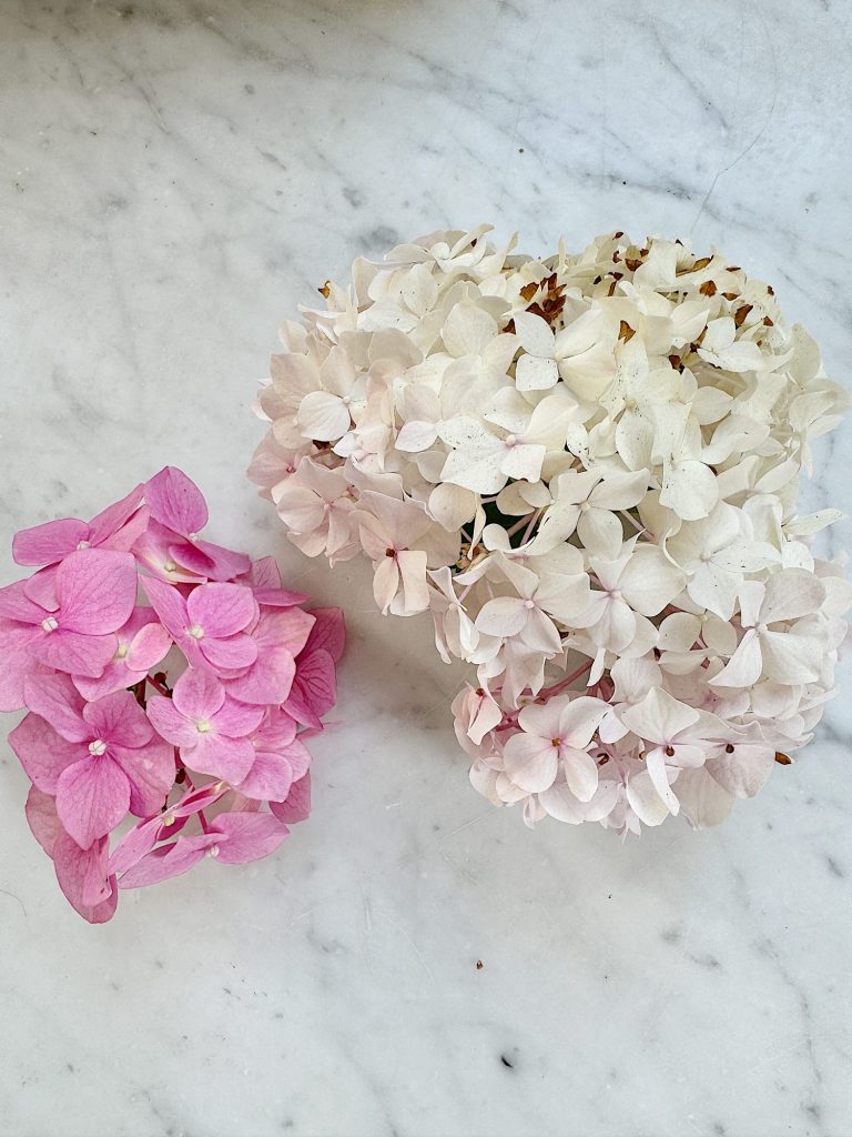 A small cluster of pink hydrangea flowers lies next to a larger cluster of white hydrangea flowers on a marble surface.