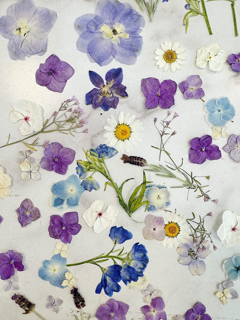 A flat-lay display of various dried flowers and petals in shades of purple, white, blue, and yellow arranged randomly on a light surface.