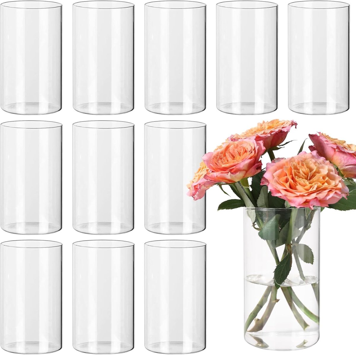 Eleven empty clear glass cylindrical vases are displayed, with one vase holding water and several pink and orange roses—a beautiful arrangement inspired by A Home to Share.