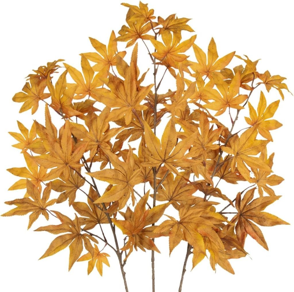 A cluster of branches with orange-yellow, maple-like leaves against a white background evokes the essence of fall flower arrangements.