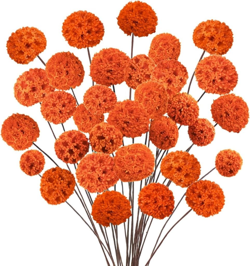 Cluster of vibrant orange marigold flowers with long green stems, blooming in various sizes against a plain white background, perfect for fall flower arrangements.