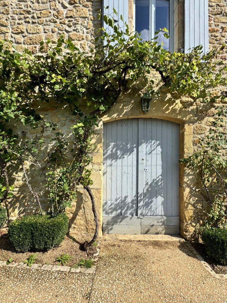 A light blue wooden door set in a stone wall, with vines growing around the frame and a bush on one side. Sunlight casts shadows on the ground and wall.