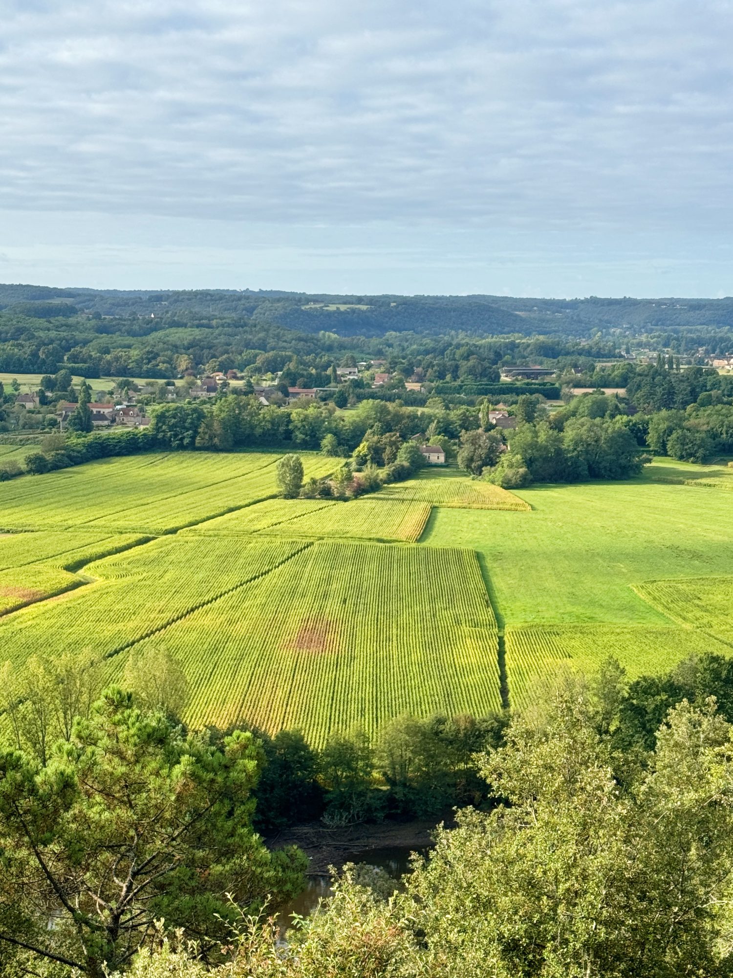 Aerial view of a vast agricultural landscape with green fields, scattered farms, and a small village in the background under a cloudy sky.