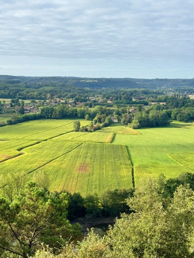 Aerial view of a vast, green agricultural landscape, with fields and scattered trees under a partly cloudy sky, extending into a distant hilly horizon.