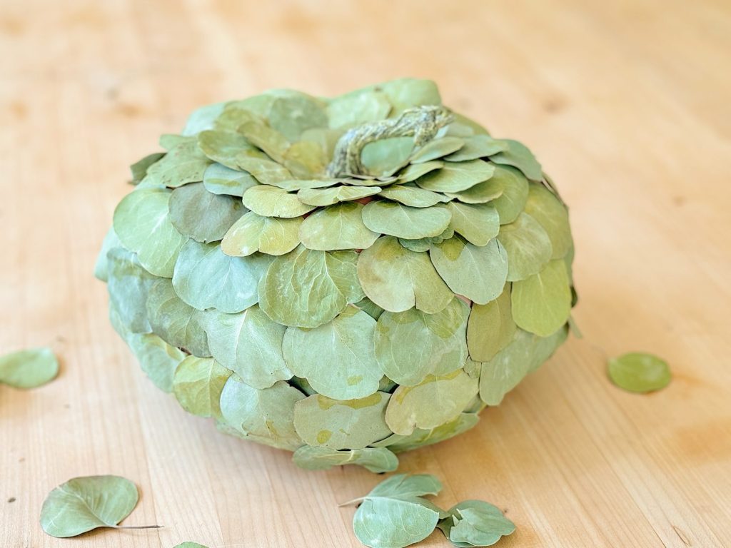 A decorative pumpkin covered in green eucalyptus leaves sits on a wooden surface with a few loose leaves around it.