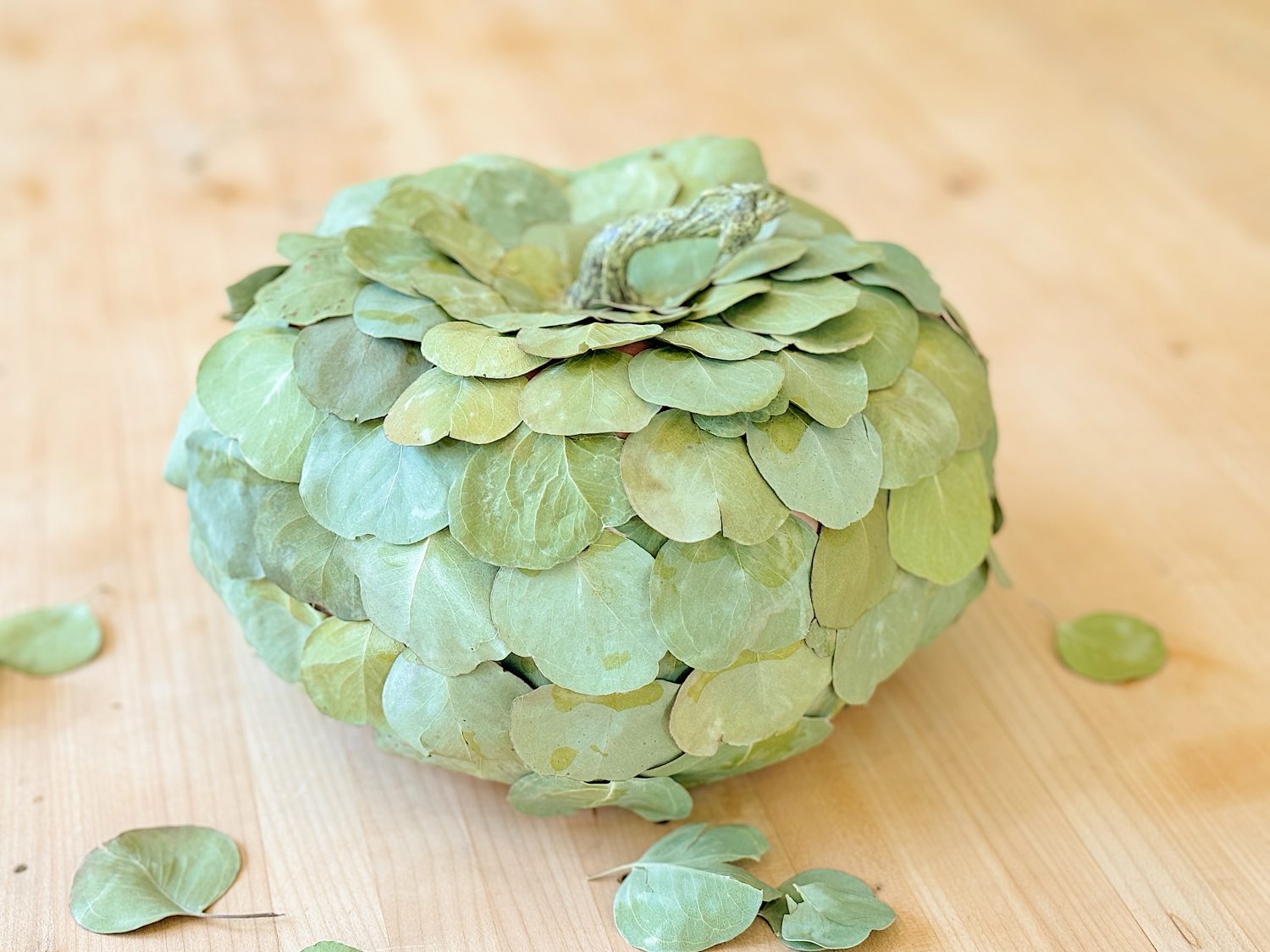 A decorative pumpkin covered in green eucalyptus leaves sits on a wooden surface with a few loose leaves around it.