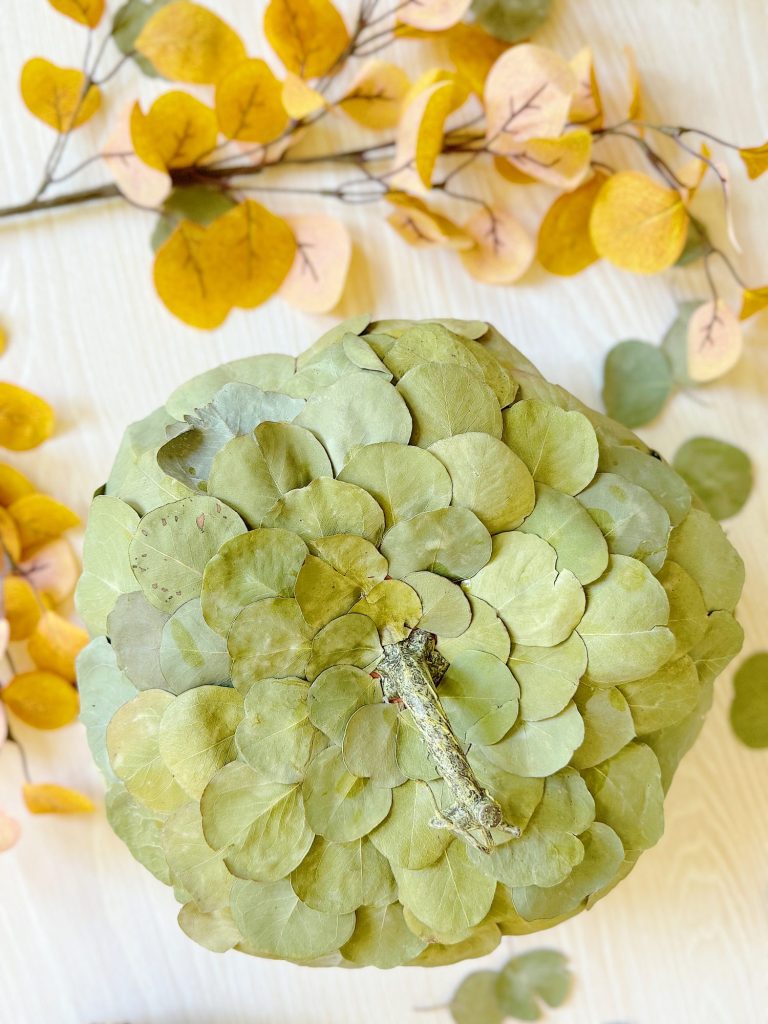 A pumpkin decorated with overlapping green leaves is placed on a white surface, surrounded by scattered autumn leaves.