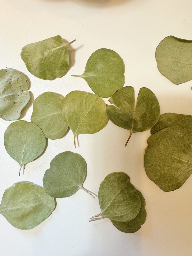 Several green leaves of various sizes and shapes are spread out on a white surface.