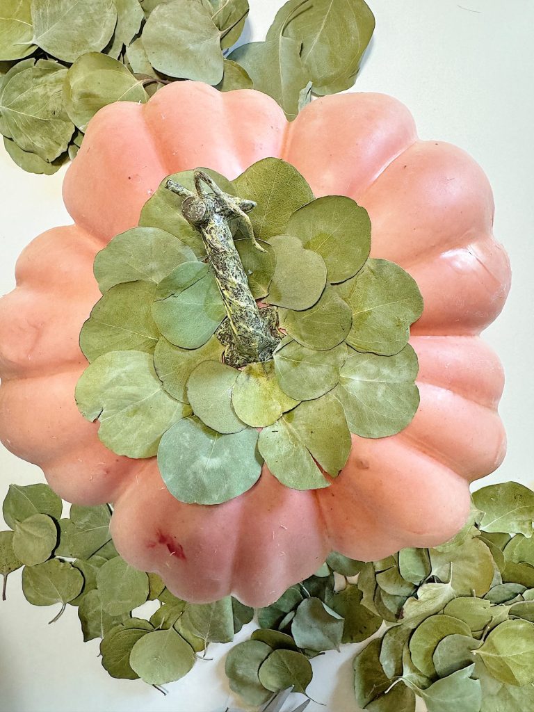 A pink pumpkin surrounded by green leaves, with more green leaves arranged around its stem.