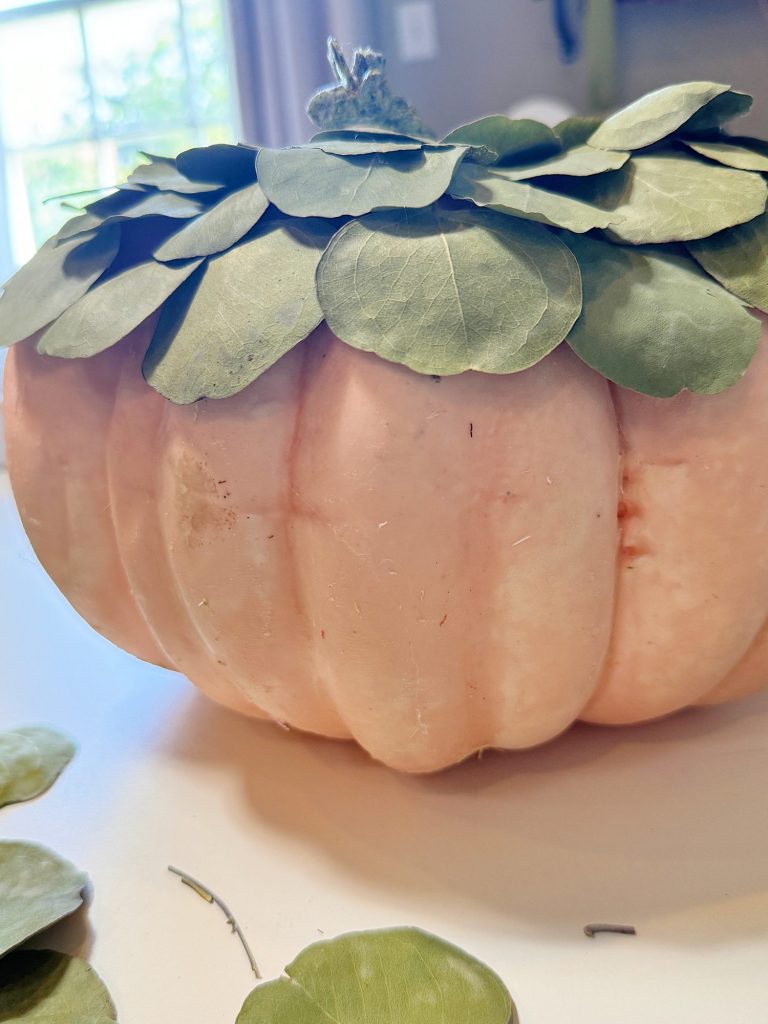 A light pink pumpkin is decorated with green leaves arranged around its stem, giving it a leafy crown. The background shows a part of a window.