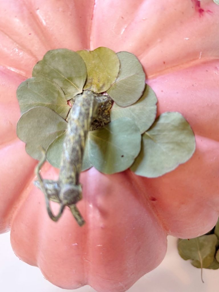 Close-up of a pink pumpkin with its stem wrapped around green leaves placed at the top.