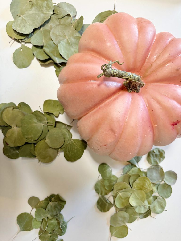 A pale pink pumpkin is surrounded by clusters of green dried eucalyptus leaves on a white surface.