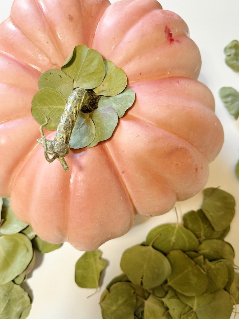 A pink pumpkin surrounded by scattered green leaves on a white surface.