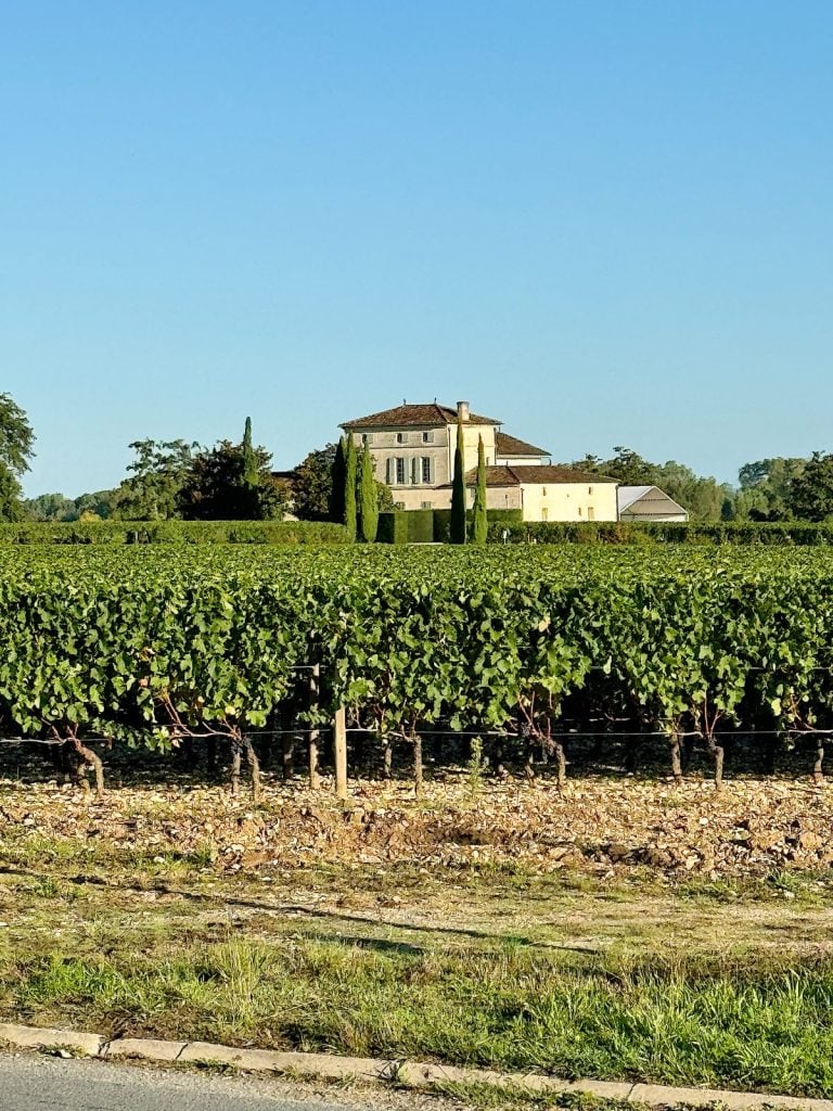 A vineyard with neatly aligned grapevines, a large house, and a clear blue sky in the background.