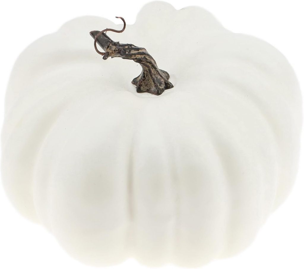 White pumpkin with a dark, twisted stem perfect for any pumpkin craft, isolated on a white background.