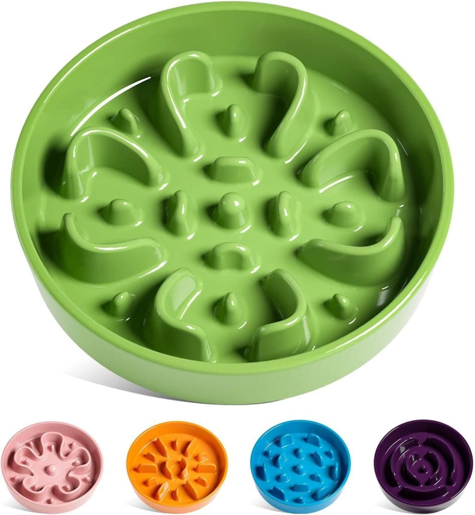 A green slow feeder dog bowl with a swirl pattern, available on Amazon Prime, is shown alongside smaller images of similar bowls in pink, orange, blue, and purple.