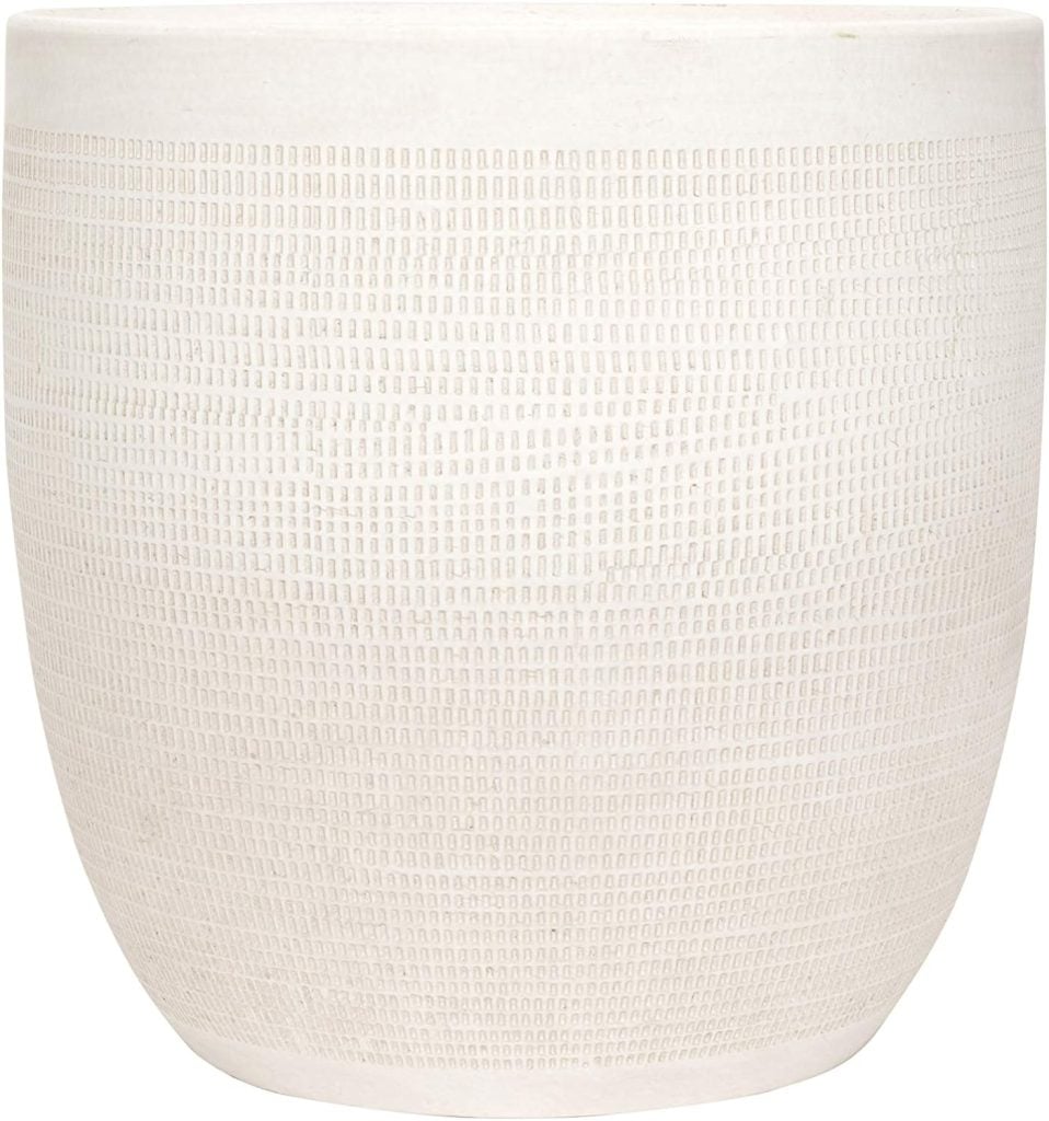 A textured, off-white ceramic planter with a rounded shape and subtle linear patterns, available on Amazon Prime for fast and convenient delivery.