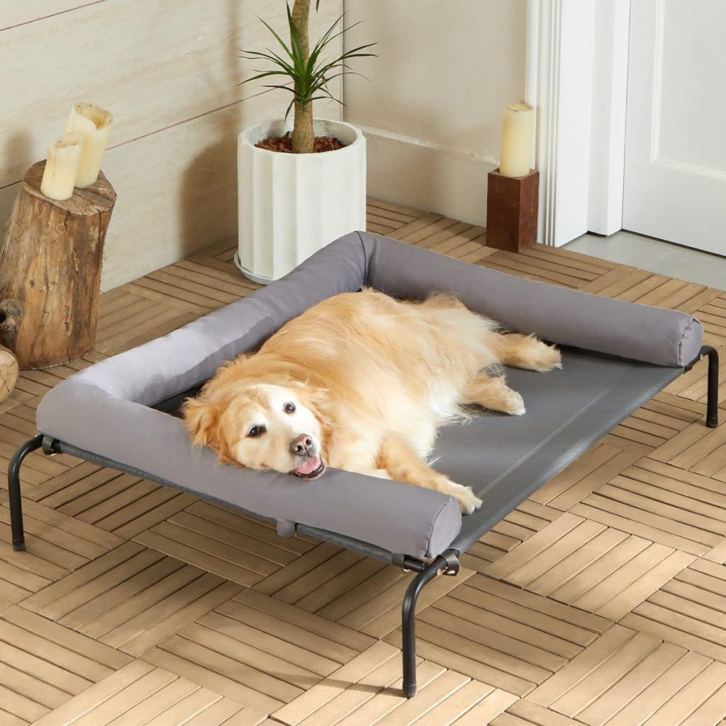 A golden retriever relaxes on a gray elevated dog bed, available on Amazon Prime, in a room with light wood flooring and decor, including a plant and candles.