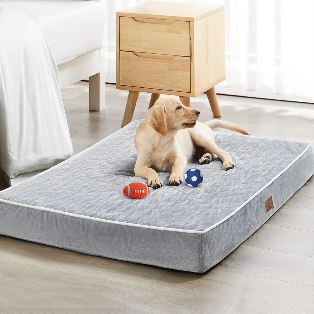 A puppy lies on a gray pet bed beside two toys: a red football and a blue soccer ball, just like those found on Amazon Prime. Nearby is a wooden nightstand on a matching wooden floor.