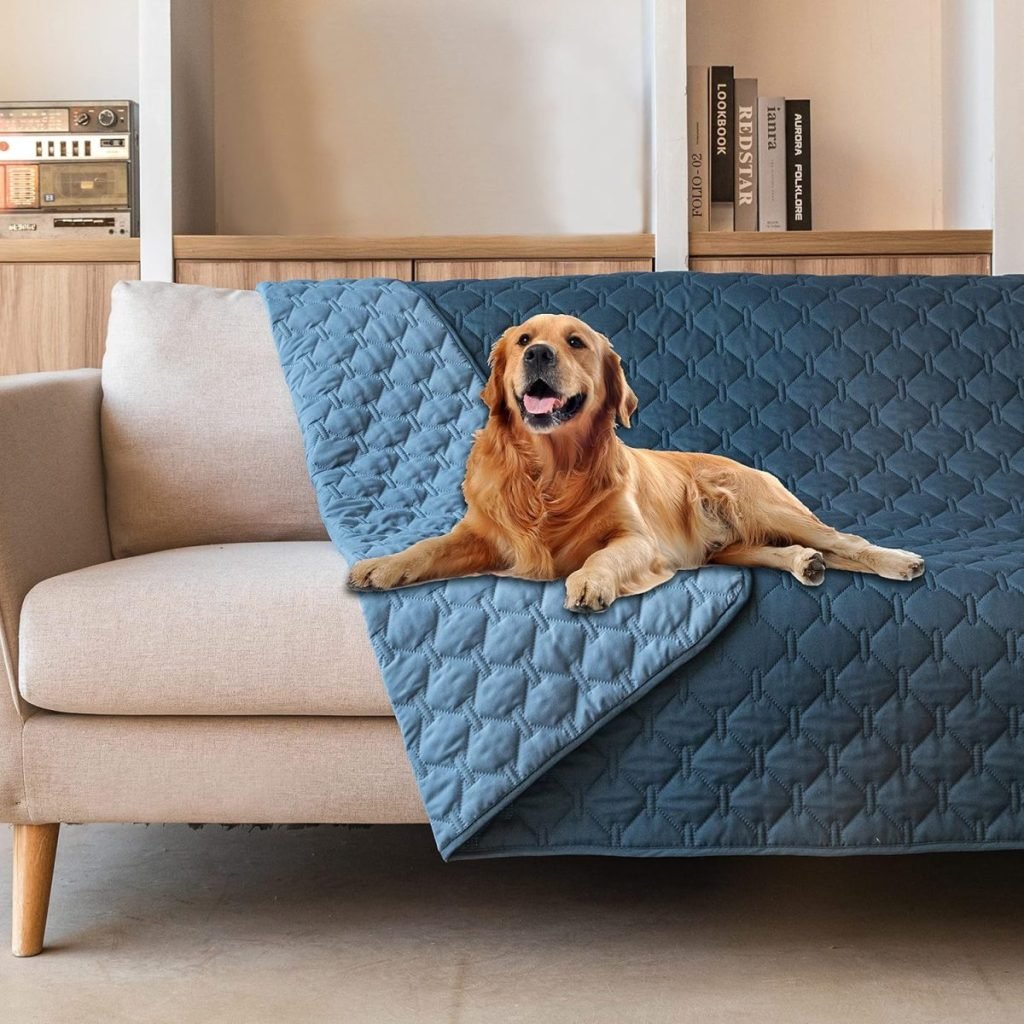 A golden retriever lies on a blue quilted cover on a beige sofa, with a wooden bookshelf stocked with Amazon Prime deliveries in the background.