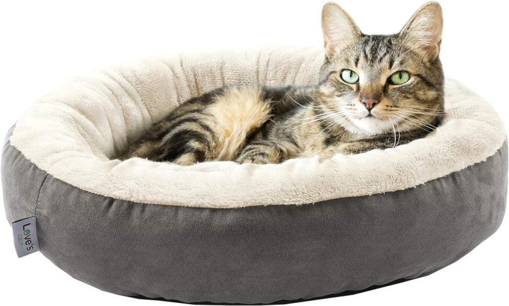 A tabby cat lounging in a round, cushioned pet bed, reminiscent of a cozy nook you might find while browsing Amazon Prime's top-rated pet accessories, gazes curiously at the camera.