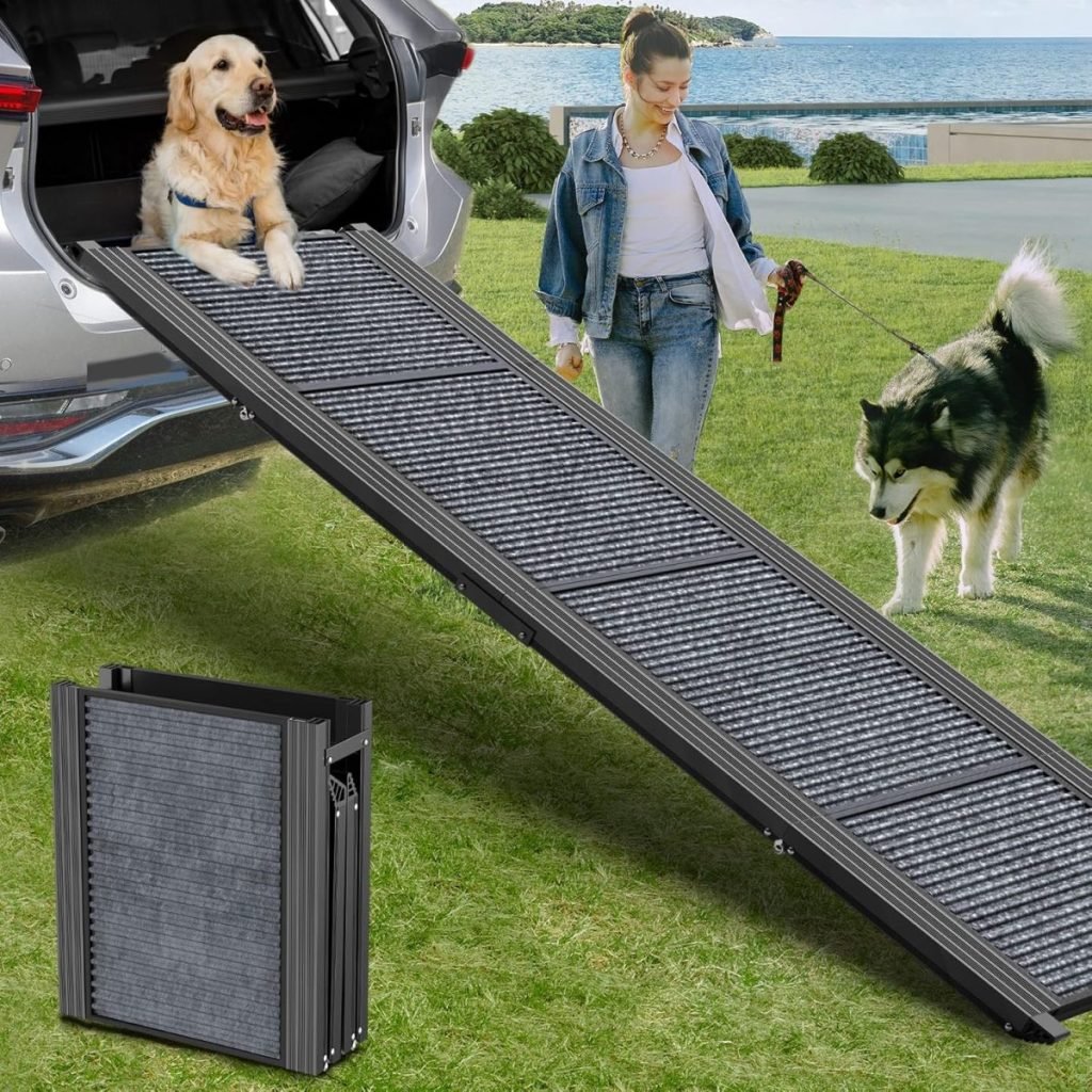 A golden retriever confidently navigates an Amazon Prime car ramp, while a woman with a husky stands nearby. A folded ramp lies neatly on the grass, ready for its next adventure.